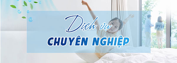 Dịch vụ chuyên nghiệp